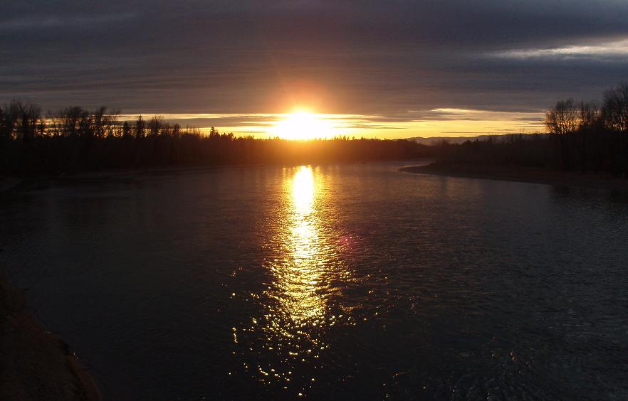 Flathead River @ Columbia Falls